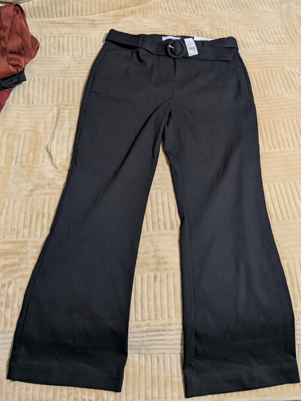 LOFT Sutton Kick Crop with Round Buckle Belt Pants